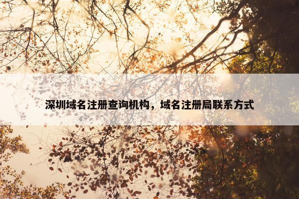 深圳域名注册查询机构，域名注册局联系方式