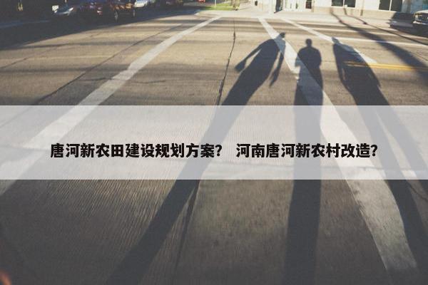 唐河新农田建设规划方案？ 河南唐河新农村改造？