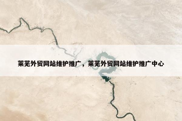 莱芜外贸网站维护推广，莱芜外贸网站维护推广中心