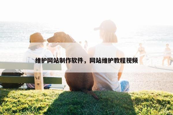 维护网站制作软件，网站维护教程视频