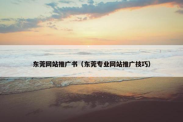 东莞网站推广书（东莞专业网站推广技巧）