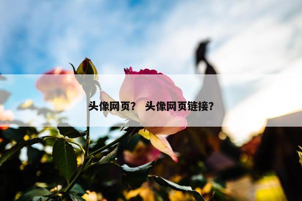 头像网页？ 头像网页链接？