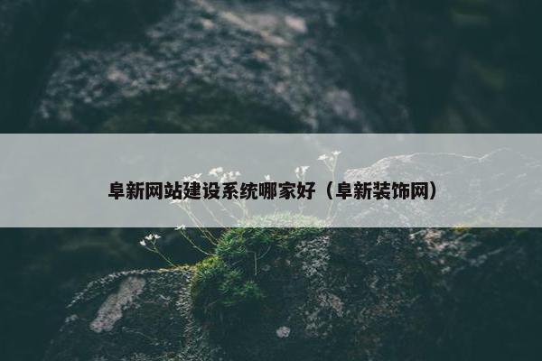 阜新网站建设系统哪家好（阜新装饰网）