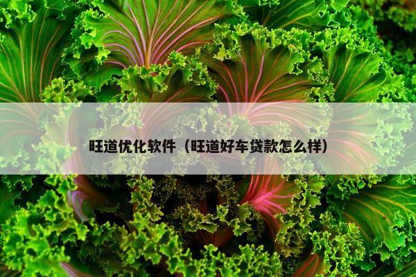 旺道优化软件（旺道好车贷款怎么样）