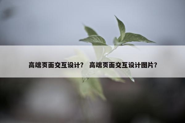高端页面交互设计？ 高端页面交互设计图片？