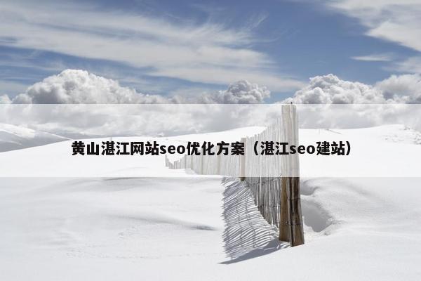 黄山湛江网站seo优化方案（湛江seo建站）