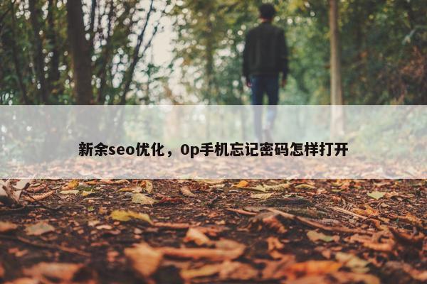 新余seo优化，0p手机忘记密码怎样打开