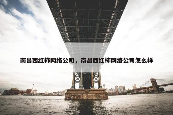 南昌西红柿网络公司，南昌西红柿网络公司怎么样