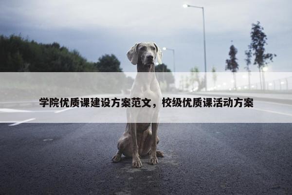 学院优质课建设方案范文，校级优质课活动方案