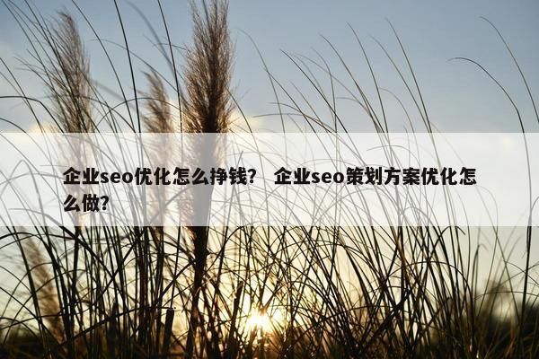 企业seo优化怎么挣钱？ 企业seo策划方案优化怎么做？