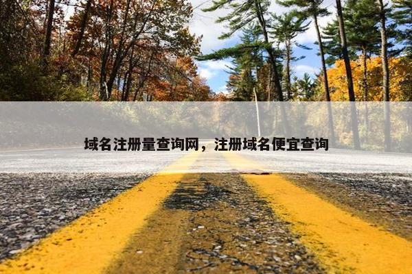 域名注册量查询网，注册域名便宜查询