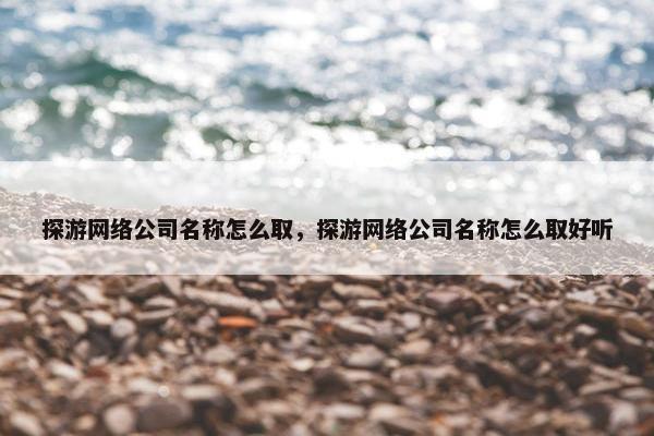 探游网络公司名称怎么取，探游网络公司名称怎么取好听