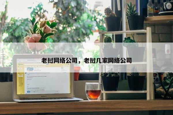 老挝网络公司，老挝几家网络公司