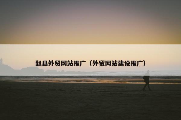 赵县外贸网站推广（外贸网站建设推广）