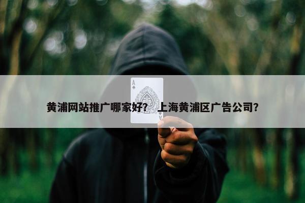 黄浦网站推广哪家好？ 上海黄浦区广告公司？