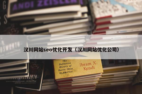 汉川网站seo优化开发（汉川网站优化公司）