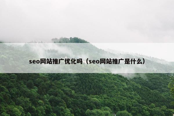 seo网站推广优化吗（seo网站推广是什么）