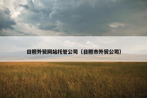 日照外贸网站托管公司（日照市外贸公司）