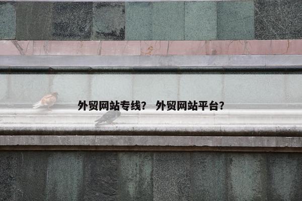 外贸网站专线？ 外贸网站平台？