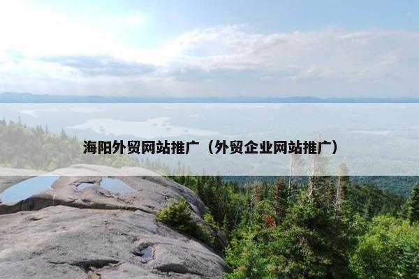 海阳外贸网站推广（外贸企业网站推广）