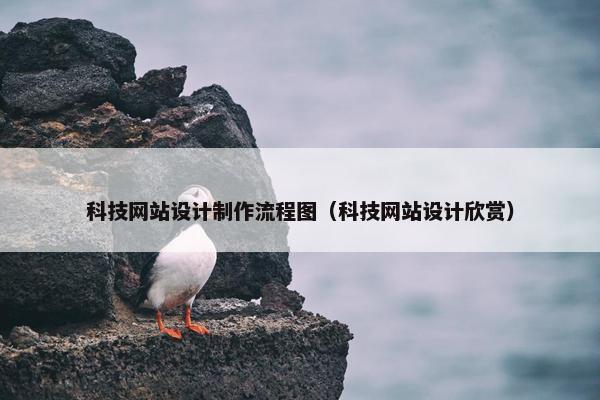 科技网站设计制作流程图（科技网站设计欣赏）