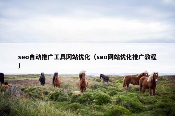 seo自动推广工具网站优化（seo网站优化推广教程）