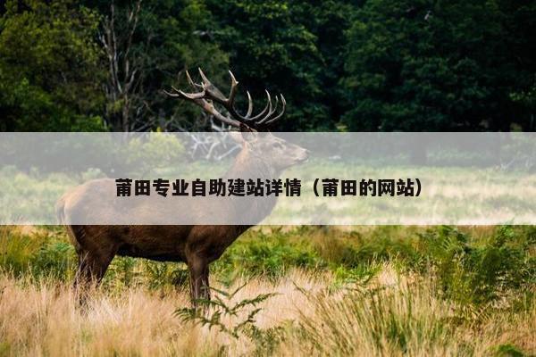 莆田专业自助建站详情（莆田的网站）
