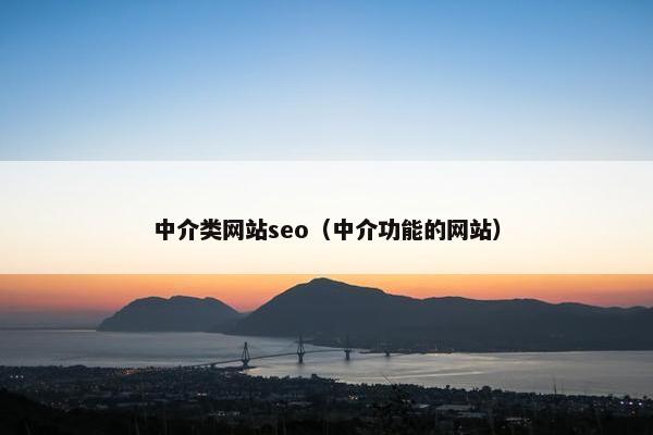 中介类网站seo（中介功能的网站）