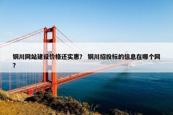铜川网站建设价格还实惠？ 铜川招投标的信息在哪个网？