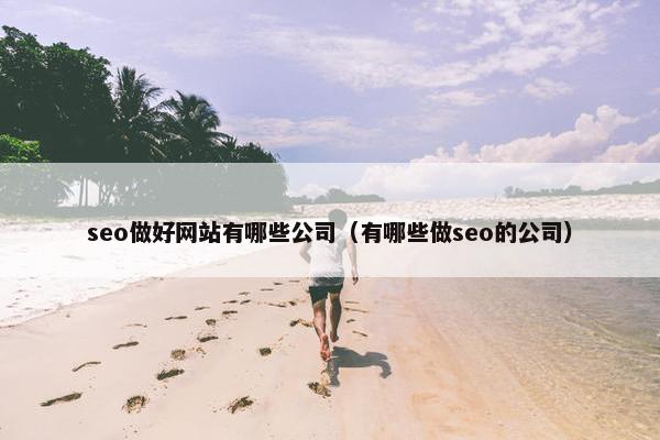 seo做好网站有哪些公司（有哪些做seo的公司）
