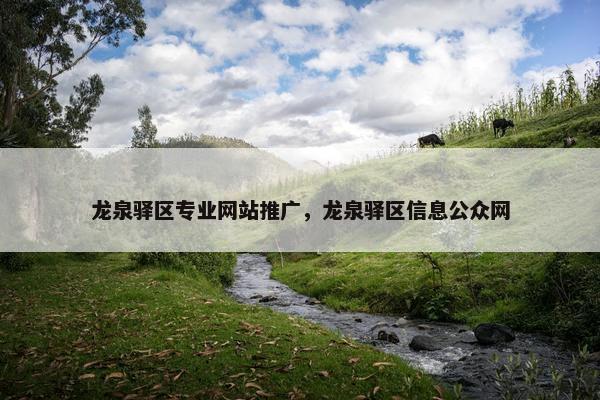 龙泉驿区专业网站推广，龙泉驿区信息公众网