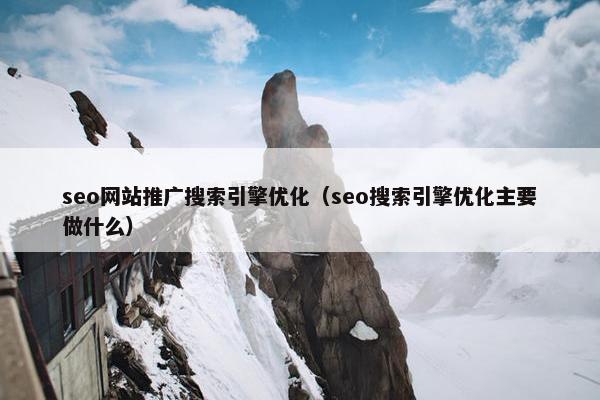 seo网站推广搜索引擎优化（seo搜索引擎优化主要做什么）