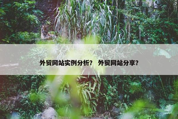 外贸网站实例分析？ 外贸网站分享？