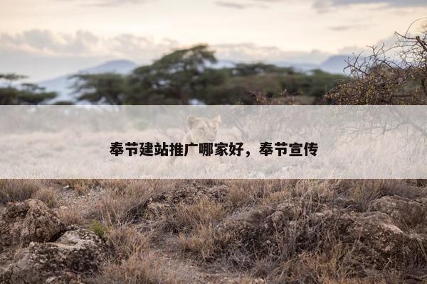 奉节建站推广哪家好，奉节宣传