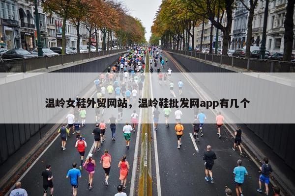 温岭女鞋外贸网站，温岭鞋批发网app有几个
