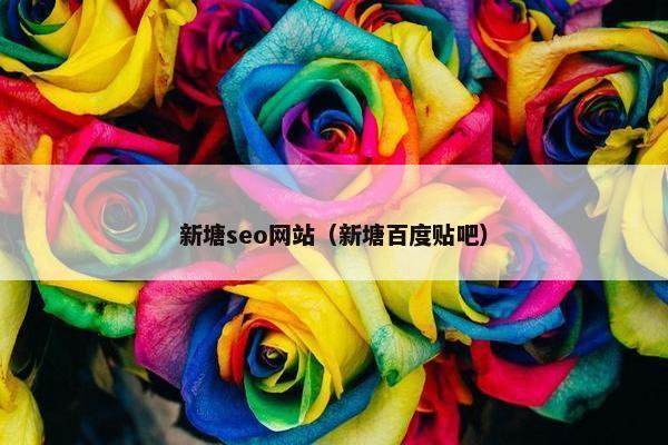 新塘seo网站（新塘百度贴吧）