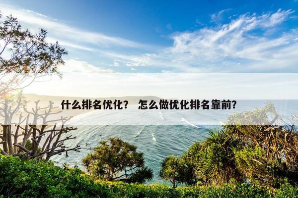 什么排名优化？ 怎么做优化排名靠前？