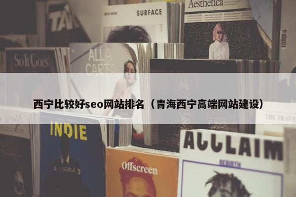 西宁比较好seo网站排名（青海西宁高端网站建设）