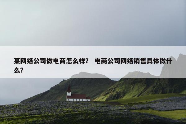 某网络公司做电商怎么样？ 电商公司网络销售具体做什么？