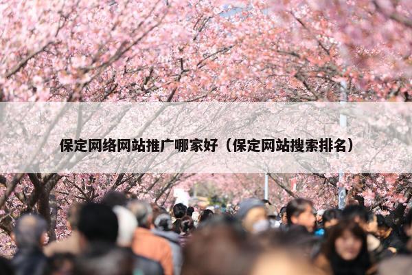 保定网络网站推广哪家好（保定网站搜索排名）