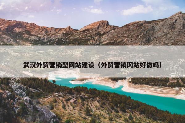武汉外贸营销型网站建设（外贸营销网站好做吗）