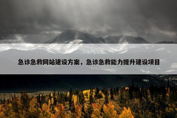 急诊急救网站建设方案，急诊急救能力提升建设项目