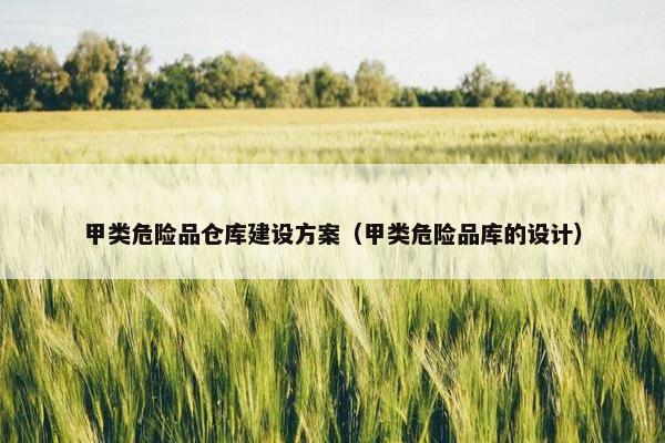 甲类危险品仓库建设方案（甲类危险品库的设计）