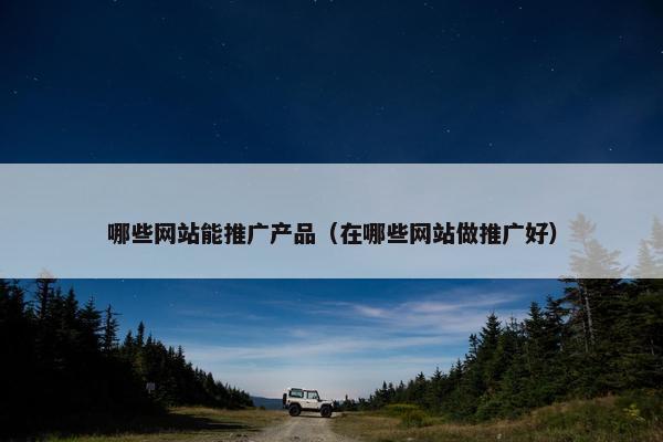 哪些网站能推广产品（在哪些网站做推广好）
