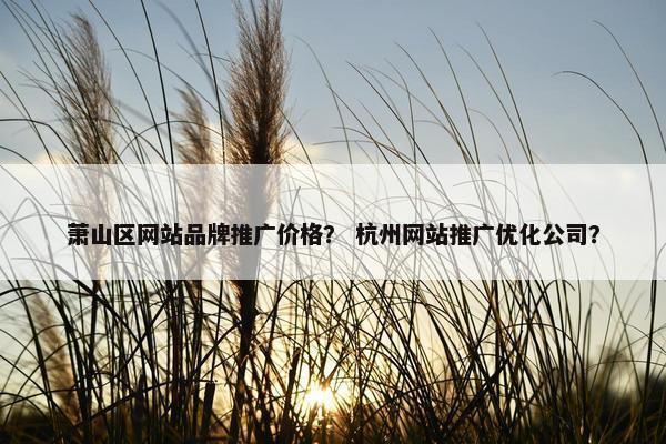 萧山区网站品牌推广价格？ 杭州网站推广优化公司？