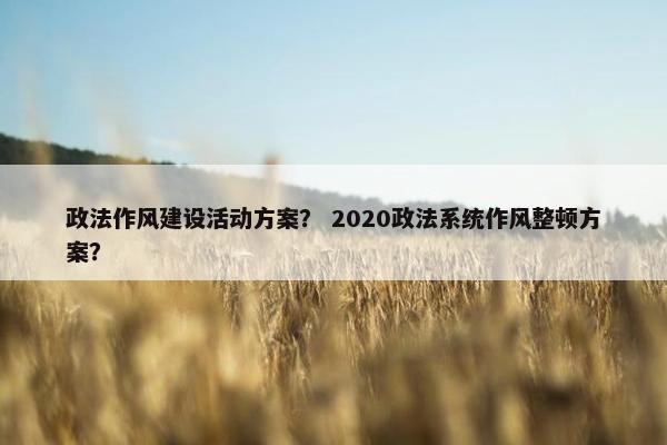 政法作风建设活动方案？ 2020政法系统作风整顿方案？