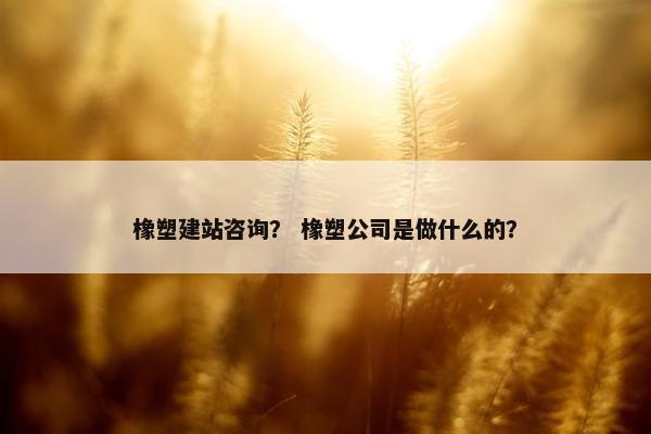 橡塑建站咨询？ 橡塑公司是做什么的？