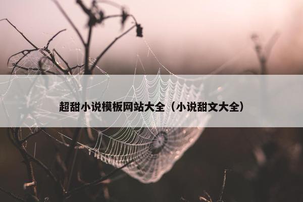 超甜小说模板网站大全（小说甜文大全）