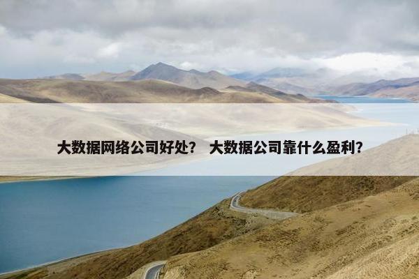 大数据网络公司好处？ 大数据公司靠什么盈利？