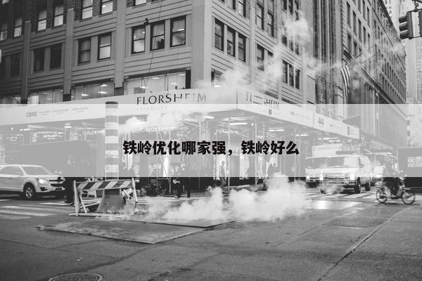 铁岭优化哪家强，铁岭好么